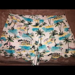 Size 14 Crown & Ivy scalloped shorts